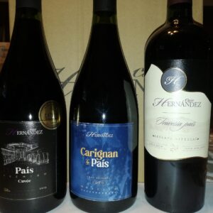 Caja Mixta 4 unidades: 1 Premium 2024, 1 Premium 2021, 1 Travesía País 2022 y 1 Carignan & País 2023